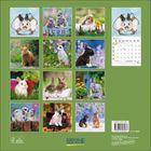 Zwölf Fotos von Kaninchen; ein Kaninchenkalender für 2023 von Korsch Verlag. Januar-Kalenderblatt rechts.