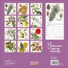 „Botanicum ART OF NATURE“ steht in geschwungener Schrift. Pflanzenillustrationen und ein Monatskalender für Januar 2022.
