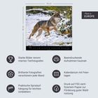 "Starke Bilder renommierter Tierfotografen. Made in Europe."

Ein Wolf läuft durch verschneite Landschaft, Kalender darunter.