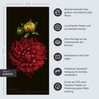 "Beeindruckende Fotografien verschönern jede Wand. Leuchtende Farben, wunderbare Details: eine Blume auf schwarzem Hintergrund."