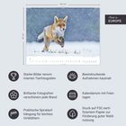 Kalendergröße: 44x34 cm, "Made in Europe". Motiv: Springender Fuchs im Schnee. Spiralaufhängung.