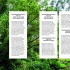 Links steht "TRANSPARENZ-SCHNITT UND AUFASTEN" mit einem Baumlogo. Es folgt dichter, grüner Wald im Hintergrund.