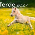 "Pferde 2027", "Sunny". Ein Fohlen springt fröhlich durch ein gelbes Blumenfeld.
