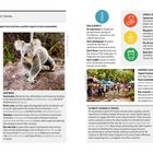 Tipps für positives Reisen:
1. Melde verletzte Tiere.
2. Miete ein Elektrofahrzeug.
3. Nutze Grauwasser.
4. Pflanze Bäume. 

Koala auf Baum, Marktstand, Symbole für Ratschläge.