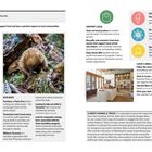 "Responsible Travel. Tipps für einen kleineren ökologischen Fußabdruck und positive lokale Einflüsse." Ein Igel zwischen Laub, Architektur mit Holzinterieur.