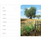 "Wir wollen jeden Tag ein neues Leben beginnen!" – Edith Stein. Links Kalender mit Juni-Daten, rechts Baum und Lavendelfeld.