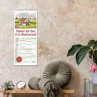 "Planer für den (Un-)Ruhestand". Wandkalender an rauer Wand, daneben runde Kissen und Pflanzen.