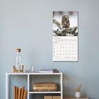 Januar 2027. Kalenderbild mit Eule auf verschneitem Ast. Auf einem weißen Regal stehen Bücher, eine Karaffe und Deko.