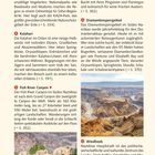 Reisehöhepunkte: Zambezi-Region, Kalahari, Fish River Canyon, Lüderitz, Diamanten-Sperrgebiet, Windhoek. Elefanten im Canyon.