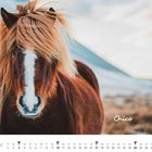 "Chico" und "JANUAR" stehen im Bild. Ein Pferd mit zotteliger Mähne im winterlichen Hintergrund. Unten ein Kalender.