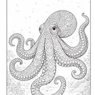 Ein detailliertes Schwarz-Weiß-Muster zeigt einen Tintenfisch im Meer mit kunstvollen, verschlungenen Mustern auf dem Körper.