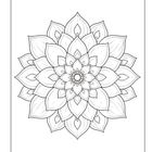 Eine detaillierte, symmetrische Mandala-Illustration mit mehreren übereinanderliegenden Blütenblättern im Kreis.