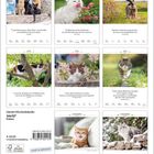 "Literatur-Wochenkalender, 246327 Katzen, € 25,00. Korsche Verlag." Neun Fotos zeigen Katzen in verschiedenen Szenen.