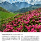 **ALMRAUSCH AUF DER FANE-ALPE** (Zillertaler Alpen, Südtirol, Italien). Juli 2027: Ein Tal mit pinken Blumen, grünen Hügeln, Berge im Hintergrund.