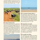 Die größte Wildtierwanderung der Erde. Ambosseli National Park. Die schönsten Strände Afrikas. Küstenkultur der Swahili.