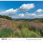 Juli 2027, 27. Woche, Montag 5 bis Sonntag 11. Typische Kahlschlagflur-Vegetation bei Olpe-Neger. Hügelige Landschaft, blauer Himmel.