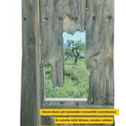 Titel: Zu Beginn. Text: „Dieses Buch soll niemanden verzweifelt zurücklassen...“. Blick durch altes Holzfenster in grüne Landschaft.