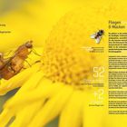 Zitat über Deutschlands Fauna. Zwei Fliegen auf gelber Blume. Text beschreibt Diptera-Arten und Mücken, mit Fotos von Fliegen.