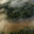 Ein Fluss schlängelt sich durch dichten, grünen Regenwald. Nebel umgibt die Landschaft und erzeugt eine mystische Atmosphäre.
