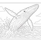 Eine Illustration zeigt einen Wal, der aus dem Wasser springt, umgeben von Wolken am Himmel.