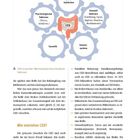 CED-Ursachen: Wechselspiel verschiedener Faktoren. Zahnradgrafik mit Begriffen: Darmbakterien, Umweltfaktoren, Immunsystem.