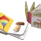 Links: "der Drachen", "der Pilz"; Rechts: "Tiere", "der Tiger". Zwei Kinderbücher mit Bildern von einem Drachen, Pilz und Tiger.