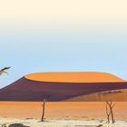 Die Worte "LAND UND LEUTE" erscheinen über einer Wüstenlandschaft mit sandigem Boden und kahlen Bäumen.