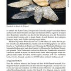 Prähistorie, Land und Leute, Faustkeile im Musée du Périgord. Mehrere helle und dunkle Steinwerkzeuge liegen sternförmig angeordnet.