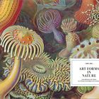 1899-1904, ART FORMS IN NATURE, Kunstformen der Natur. Illustration von vielfältigen, abstrakten Meereslebewesen.
