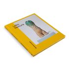 Text: "Leiko Ikemura", "Motherscape". Gelbes Buchcover mit Keramikskulptur in blau-grün und beige.