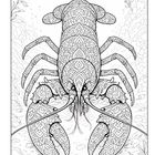 Illustration eines detailreich gemusterten, symmetrischen Hummers unter Wasser, umgeben von Pflanzen und Steinen.