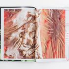 Nahaufnahme einer fleischfarbenen, texturierten Oberfläche in einem aufgeschlagenen Buch.