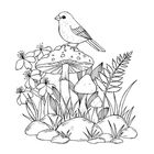 Illustration eines Vogels auf einem Pilz umgeben von Blumen, Farnen und Gräsern.