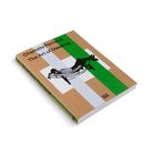 Buchcover: "Charlotte Perriand The Art of Dwelling". Abstraktes Design mit Liege und grünen sowie weißen Rechtecken.