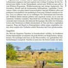 Die Tierwelt Namibias: Schutz und Tourismus fördern die Artenvielfalt. Bildunterschrift: Elefanten in der Zambezi-Region.