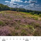 Kalender mit Wochen- und Monatsanzeige August|September. Blühende Heide mit Bäumen im Hintergrund unter blauem Himmel.