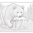 Illustration: Ein großer Bär hält einen Fisch im Maul, stehend in einem Fluss mit Bäumen im Hintergrund.