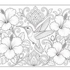 Eine Illustration zeigt einen Kolibri umgeben von Hibiskusblüten und dekorativen Blättern.