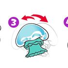 1. Tüte ins Glas. 2. Wasser zugeben. 3. Schütteln. 4. Warten, Uhr und Glühbirne. 5. Glücklicher, lächelnder Charakter.