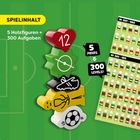 Text: "SPIELINHALT 5 Holzfiguren + 300 Aufgaben. 5 PIECES 300 LEVELS!"  
Holzfiguren zeigen Herz, Fußball, Schuh. Liste mit Farbsymbolen.  