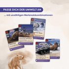 „PASSE DICH DER UMWELT AN ... mit unzähligen Merkmalskombinationen.“ Vier Illustrationskarten mit Tieren und Merkmalen.