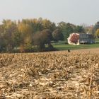 Keine Texte zu sehen. Zwei Menschen stehen auf einem abgeernteten Feld, herbstliche Bäume und ein Haus im Hintergrund.