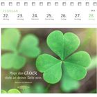 Kalender für Februar mit einem Kleeblatt und dem Text: "Möge das Glück stets an deiner Seite sein. Irischer Segenswunsch."