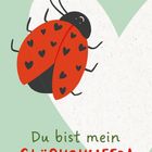 "Du bist mein GLÜCKSKÄFER!" Illustration eines Marienkäfers mit Herzflecken vor Herzform.