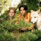 Zwei Jugendliche und ein weißer Wolf im Wald, hinter Tannen versteckt. Sie blicken aufmerksam in die Ferne.