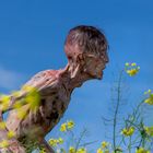 Eine Person mit schmutziger, magerer Haut in gelbem Blumenfeld, blauer Himmel im Hintergrund.