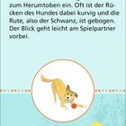 Ein Text erklärt, dass ein Hund mit Vorderkörperstellung spielen möchte. Illustration: Hund mit Ball in spielender Pose.