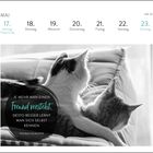 Kalender für Mai, Woche 20. Zitat: "Je mehr man einen Freund versteht, desto besser lernt man sich selbst kennen." Zwei Katzen kuscheln auf einem Sofa.