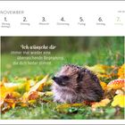 "Ich wünsche dir immer mal wieder eine überraschende Begegnung, die dich heiter stimmt." Igel auf Herbstlaub neben Fliegenpilz.