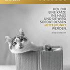 Kalenderblatt "Januar". Zitat: "Hol dir eine Katze ins Haus und sie wird sofort dessen Mittelpunkt werden." - Nina Sandmann. Oben gold. Darunter Katze in Kiste.